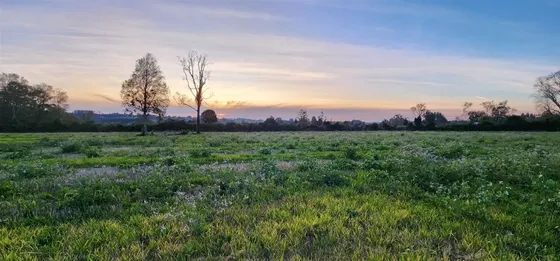 Sitio En Venta En Lago Ranco