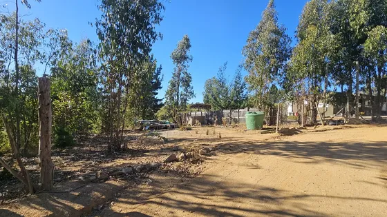 Parcela Con Bosque Y Un Poco De Vista Al Mar