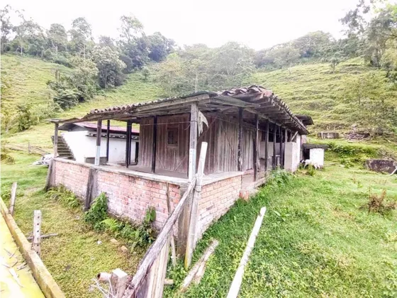 Se Vende Finca De Pastos En Salento