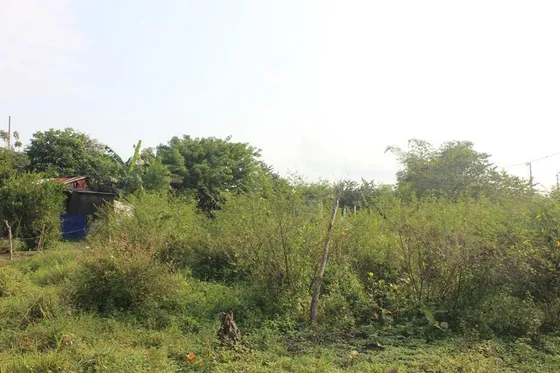 Venta De Terrenos Rusticos En Tuxpan Veracruz 880 M²