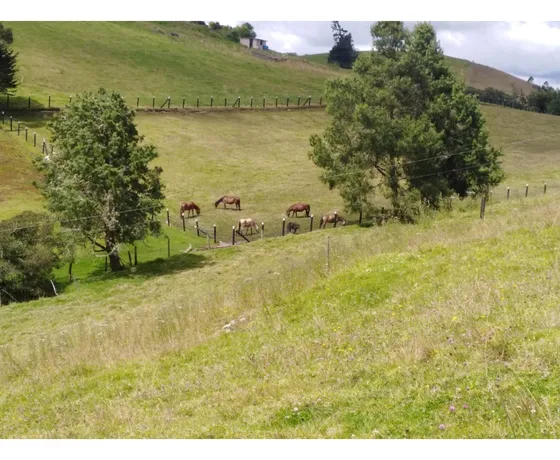 Vendo Finca Choconta 