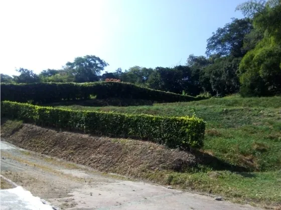 Lote En Venta En Santágueda Palestina | Venta Lotes