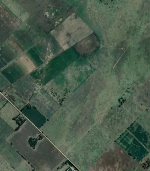 Campo En Venta 173 Hectareas Navarro Provincia De Buenos Aires Campo En Gonzalez Risos
