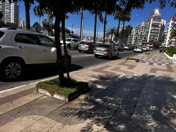 Arrdo. Depto Año Corrido, Av. Marina 4d 2b Y Estacionamiento