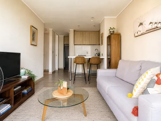 Vendo Depto 1d 1b 1e 1bd / Barrio Italia / Av Italia /ñuñoa