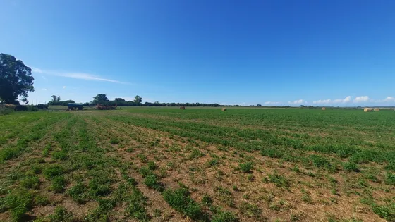 Campo Agricola De 40 Hectareas En Rueda (santa Fe)
