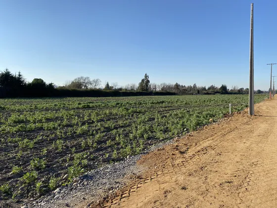 Excelente Precio! Sitio Cercano A Colegios