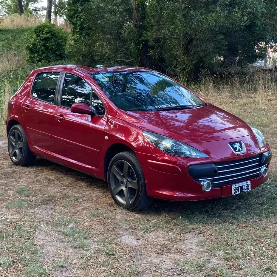 Peugeot 307 2.0 Xs Premium 143cv Mp3 Lim Vel