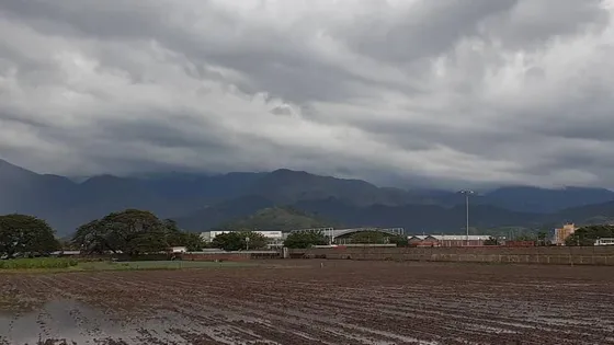 Vendo Terreno Comercial E Industrial En Aragua Dt