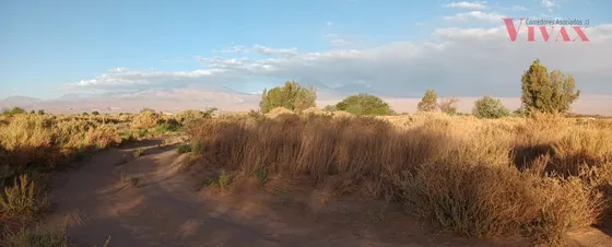 Agrícola En Venta En San Pedro De Atacama