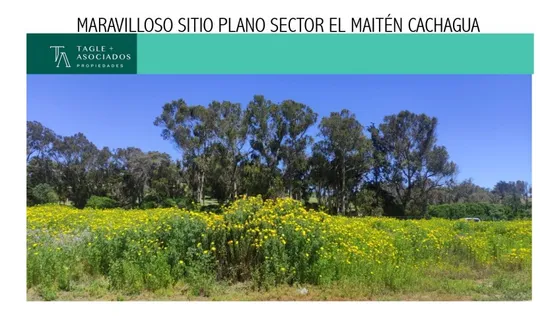 Maravilloso Sitio Plano Sector El Maitén Cachagua