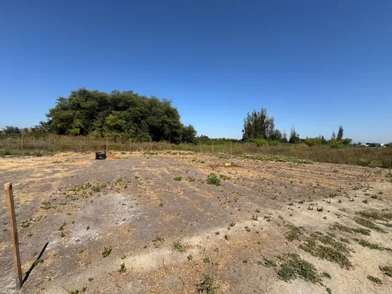 Terreno Carmen Bajo