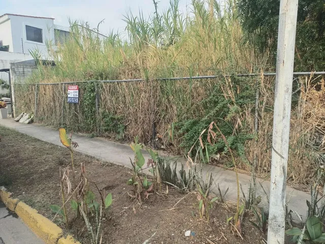 Terreno Comercial En Mañongo, Calle Del Hambre De Mañongo At