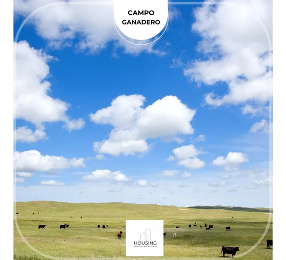 Salto, Venta Campo Agrícola Ganadero 108 Has