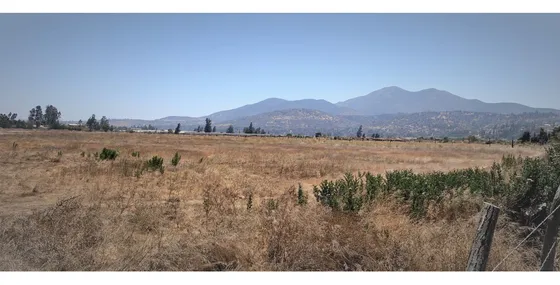 Venta De Sitio Terreno De 7,1 Hectáreas, En Tabolango, LiMac