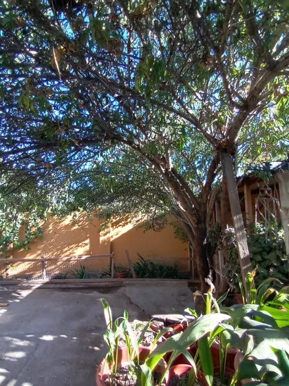 Venta Casa Grande En Quinta Normal