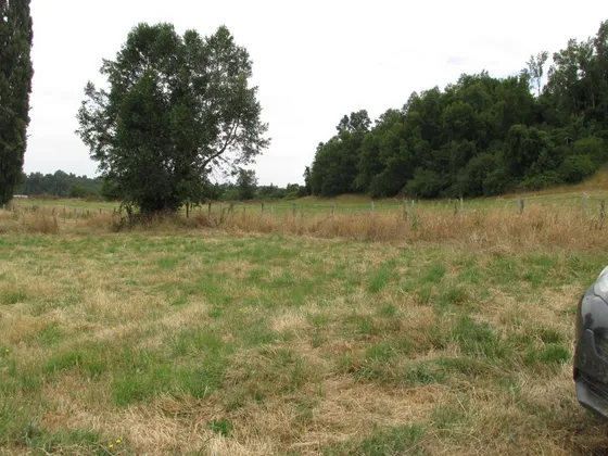 Casa En Parcela 8000m2 En Los Chilcos , Region De Los Rios