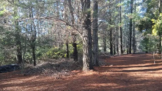Terreno Para Inversión En Cauquenes (176903)