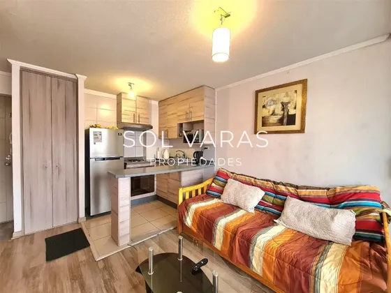 Departamento 1d 1b 1e Río Grande Concón Marzo Diciembre