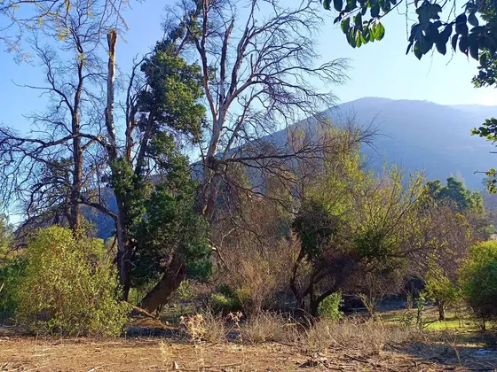 Cajón Del Maipo, El Canelo, Terreno Lindas Vistas.