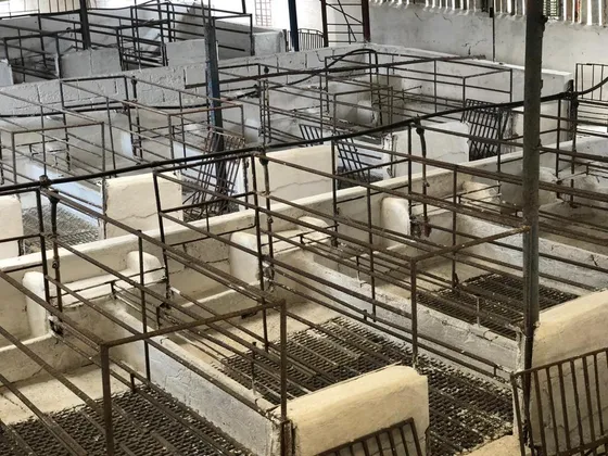 Emili Ofrece En Venta Una Granja Porcina En Cojedes 