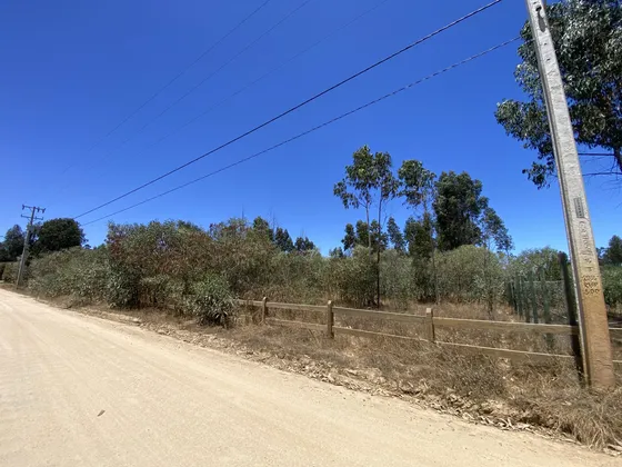 Se Vende Parcela En Fundo Loma Verde A 9 Kms. De Algarrobo