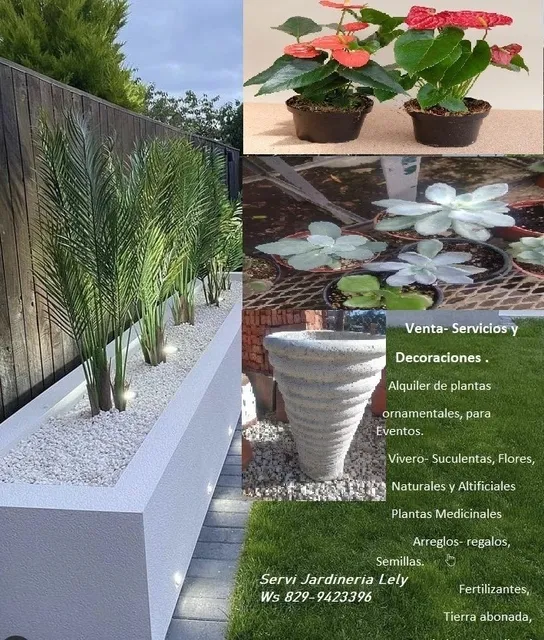 Servicios De Jardineria, Vivero Y Mas
