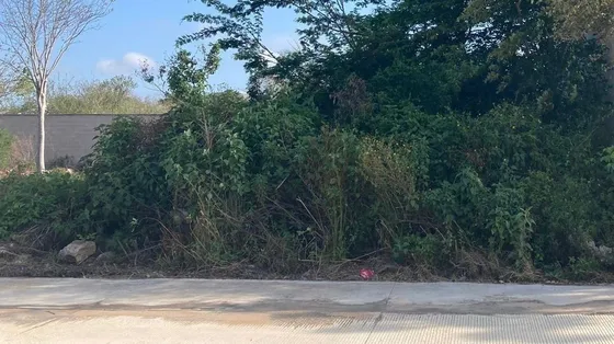 Terreno En Fraccionamiento Tamora Con Excelente Ubicación