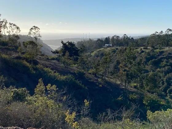 Nuevo Proyecto Inmobiliario Parcelación Bosques De Tunquén