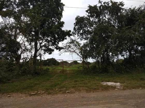 Venta Terreno 6 Has. Santiago De La Peña Tuxpan Veracruz
