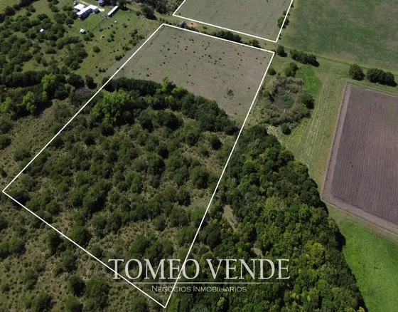 Tomeo Vende Chacras Financiadas 3,5 Hectáreas En El Colorado