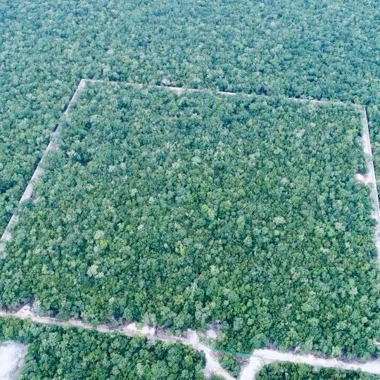 Lote En Venta En Tulum, Villas Tulum