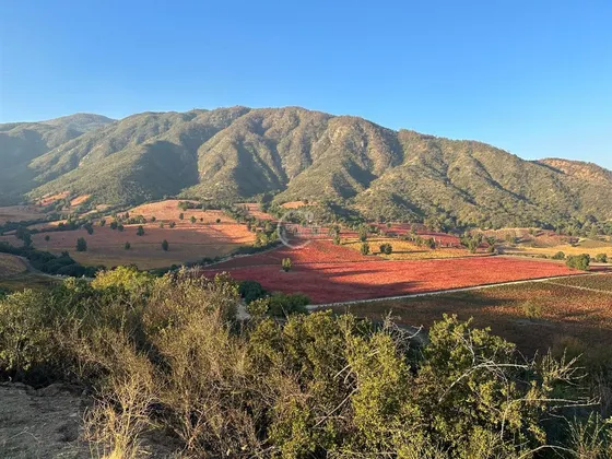 Inversión En Venta En Santa Cruz