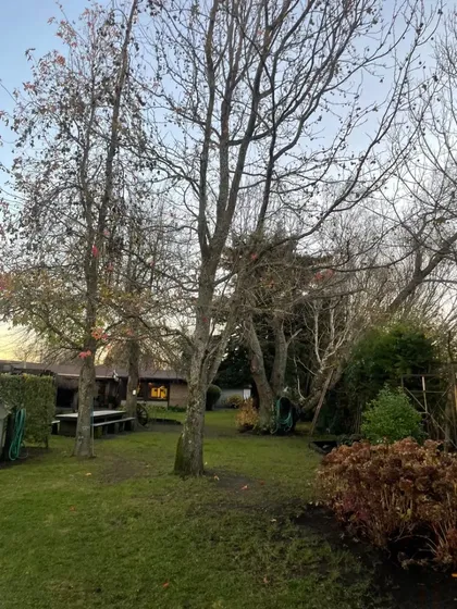 Parcela De 5000m2 Con Casa 270m2 / Piscina/ Camino Antuco