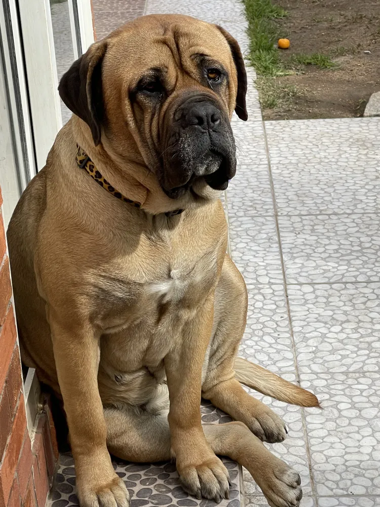 Foto del producto compartida por el comprador 2 de 3