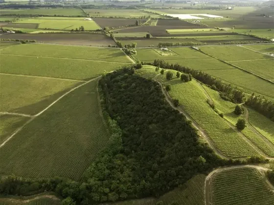Terreno 5000m2 En Viñedo Wine Lots Fuegos De Apalta Sta Cruz