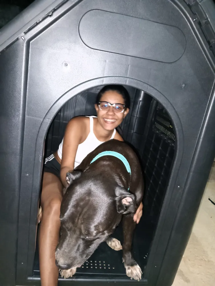 Casa Casinha P/ Cachorro Grande N8 Big Mansão Magnifica Pet Cor Verde Tiffany - Imagem 3