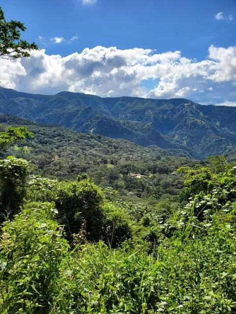  Finca Agrícola 3,206 Tareas Café, Maderas San José De Ocoa