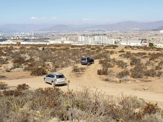 Terreno En Coquimbo 9500 Mts En La Puntilla De La Herradura