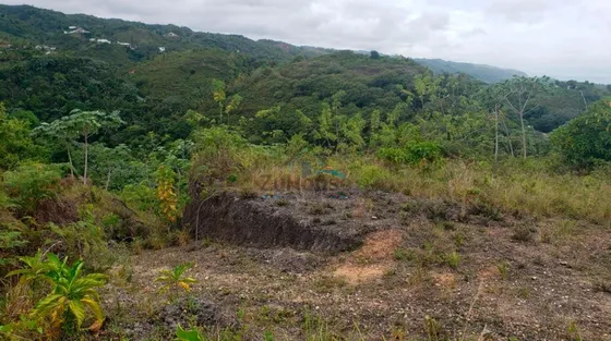 Terreno En Venta Ideal Para Construir Villas Con Magníficas Vistas En Las Terrenas Wps07