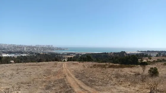 Venta De 14 Has Rotonda De Concón