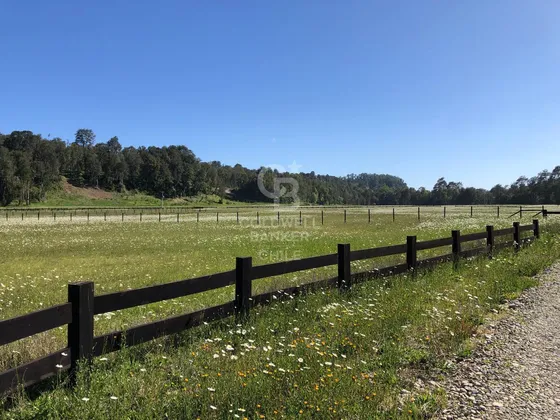 Parcelas A Orillas Del Río Maullín ¡sin Comisión!