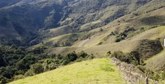 Bloque De 123 Hectareas Para Aguacate Hass En Abejorral