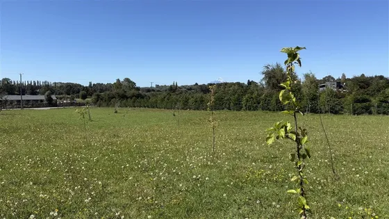 Parcela En Venta En Puerto Varas