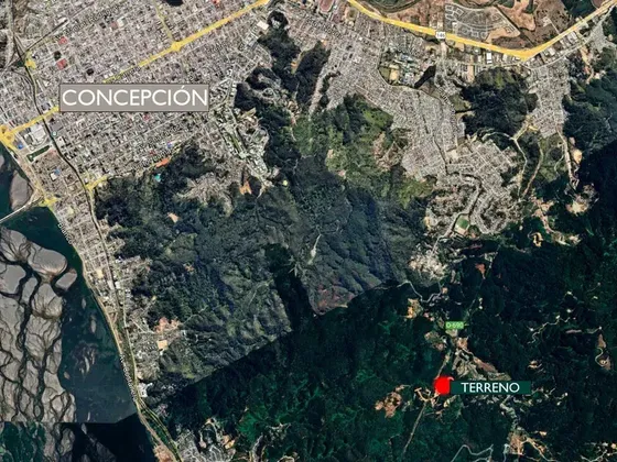 Espectacular Terreno De 5.000m2 Camino A Nonguén