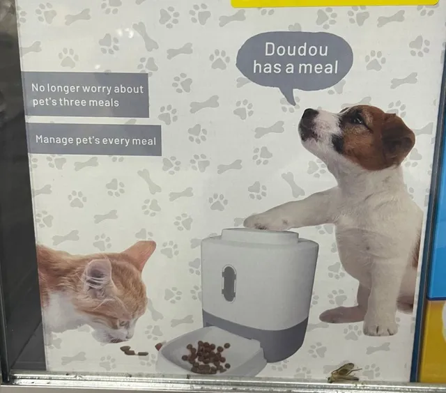 Comedor Automático Para Mascotas