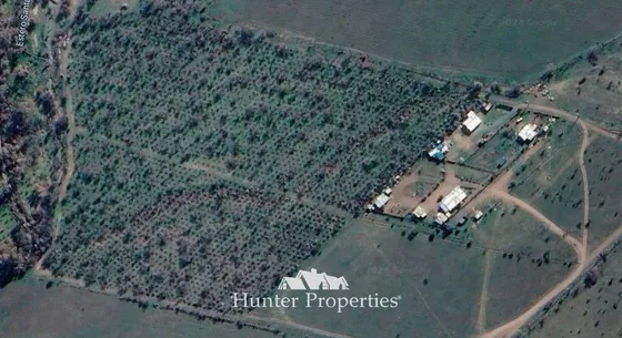 Agrícola En Venta En Colina B7/a17