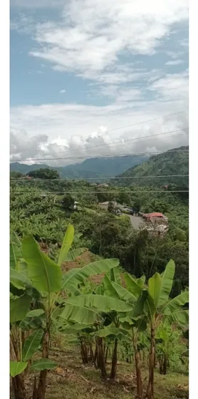 Venta Lote En Alto Bonito, Manizales | Lotes En Venta En Manizales