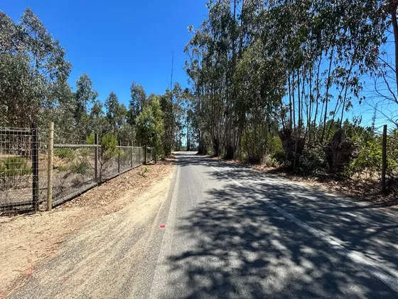 Parcela Plana 5 Mil M2 Camino A Tunquén Para Uso Comercial