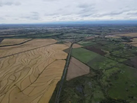 Venta De Campo Agrícola En Parral Id 87.368-cam